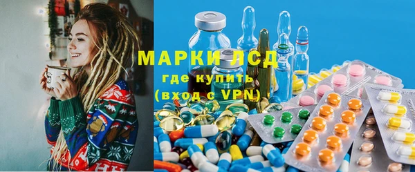 прущие грибы Нефтегорск