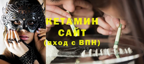 мет Алексин