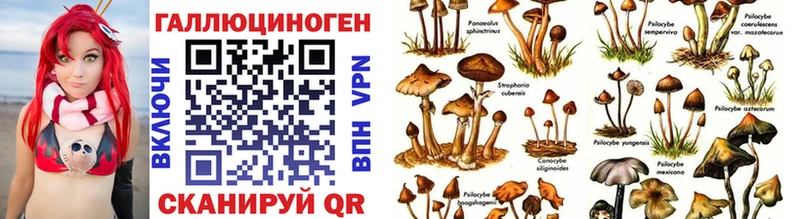 omg сайт  Арамиль  Псилоцибиновые грибы прущие грибы 